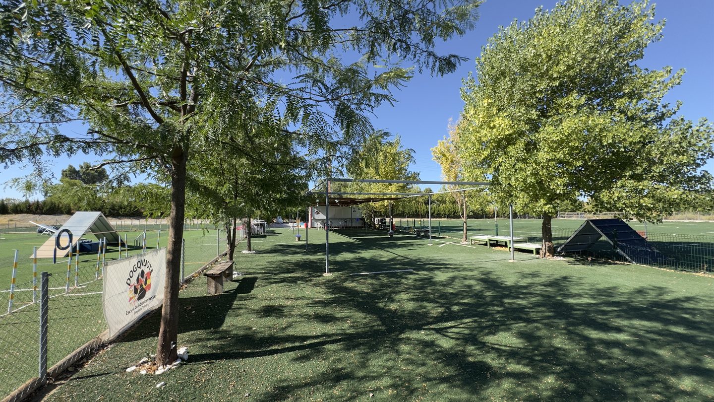 Parque de césped arbolado de la finca