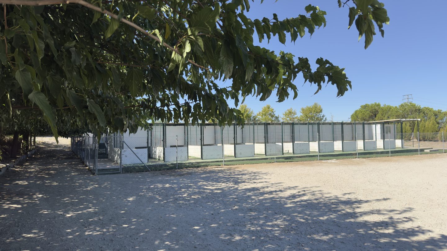 Fila de alojamientos de la residencia, a la sombra de los árboles